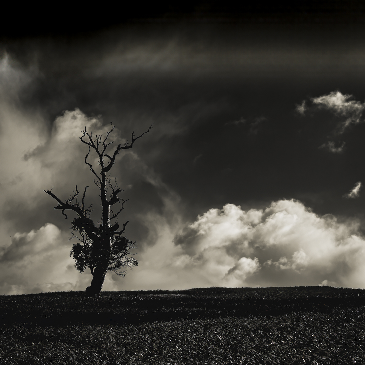 Stormy